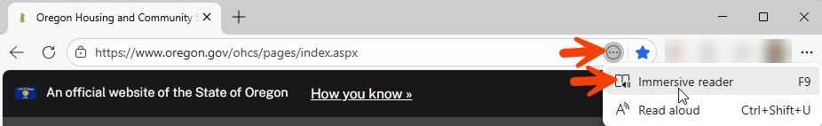 A screen capture showing where to find the immersive reader feature in Microsoft Edge browser.