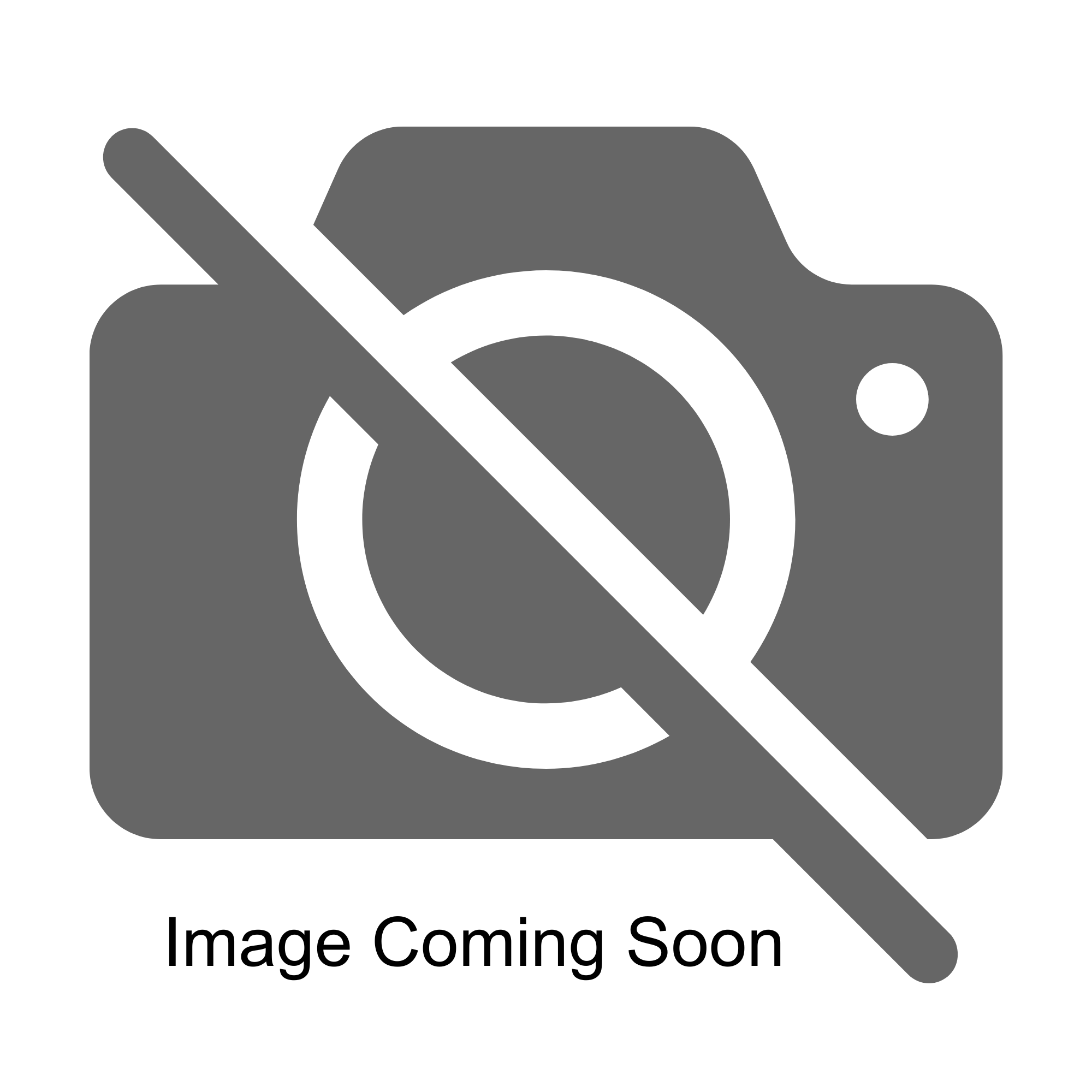 graphic of a camera with a line through it with text saying image coming soon