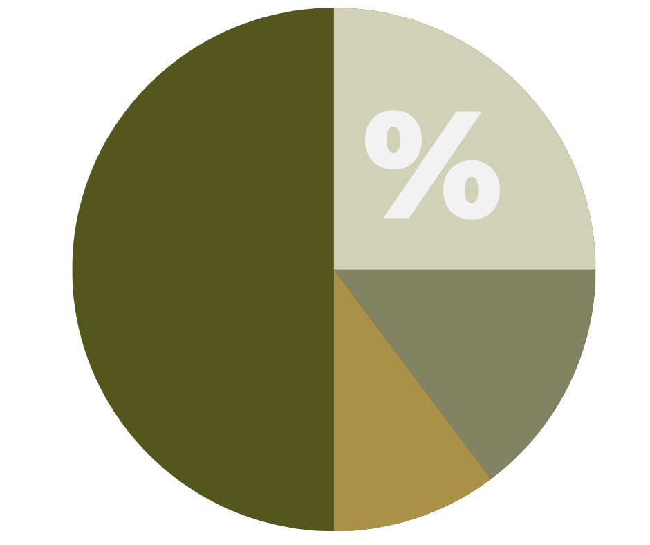 Monthly Allocation Icon