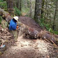 Person in protective gear removing a tree from a trail.