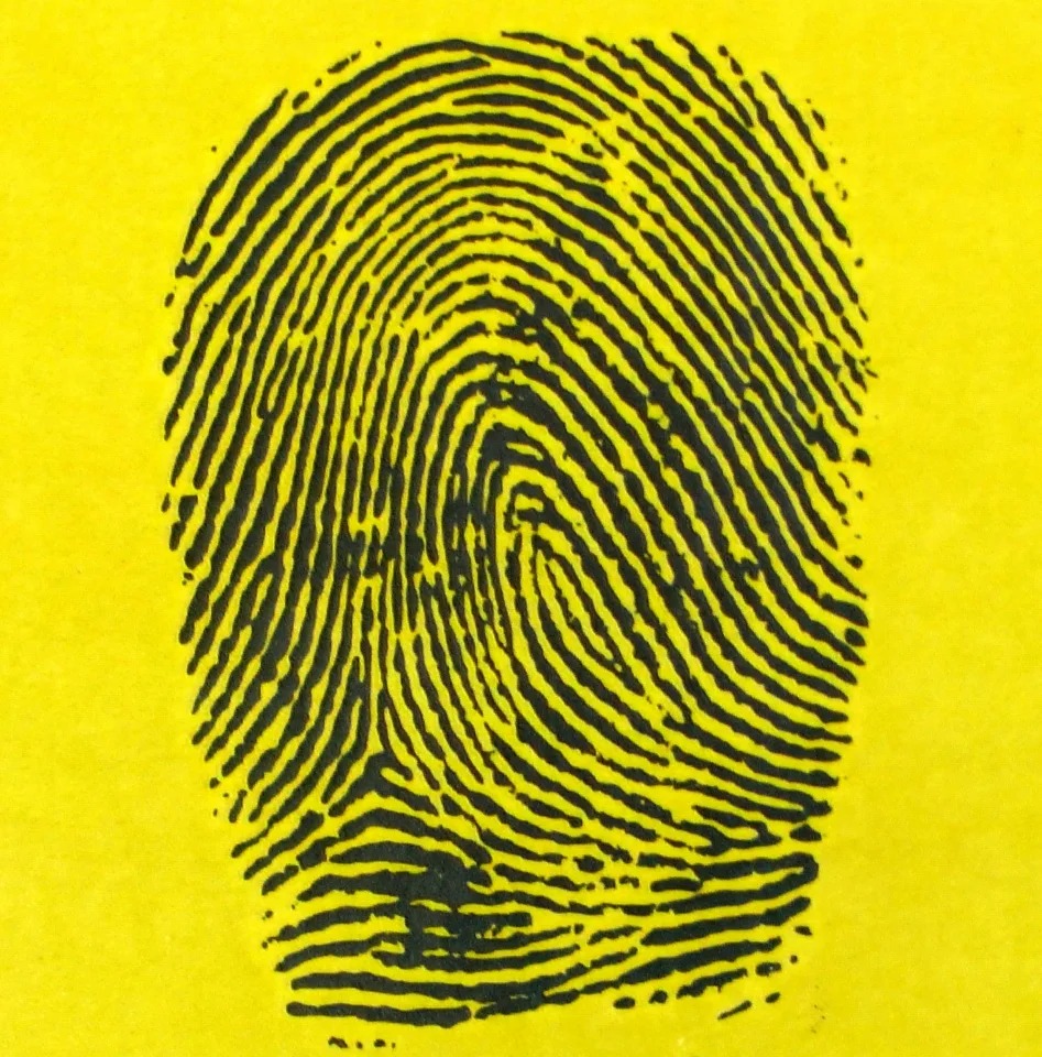 Fingerprint-Fingerprints-Free-Stock-Photo---Public-Domain-Pictures.JPG