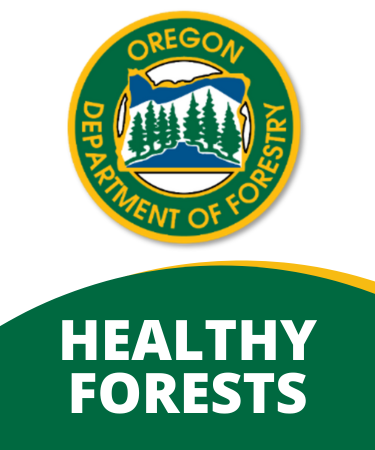 ODF Logo Healthy Forests
