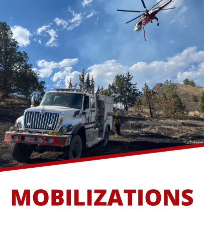 Cancer Risk Reduction