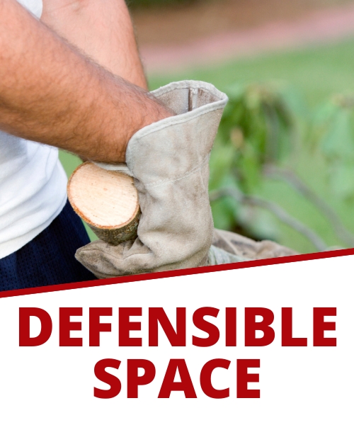 Oregon defensible space