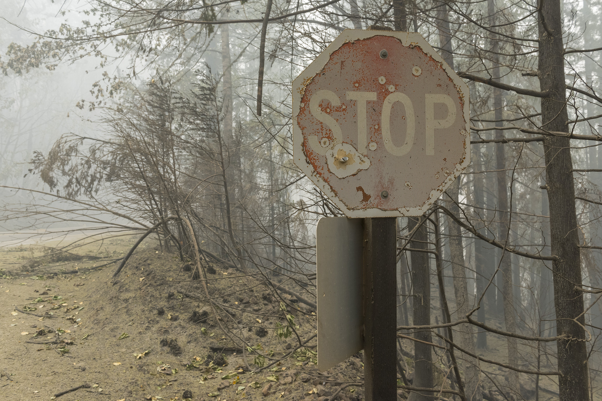 2020 Wildfires ODOT response scene 3