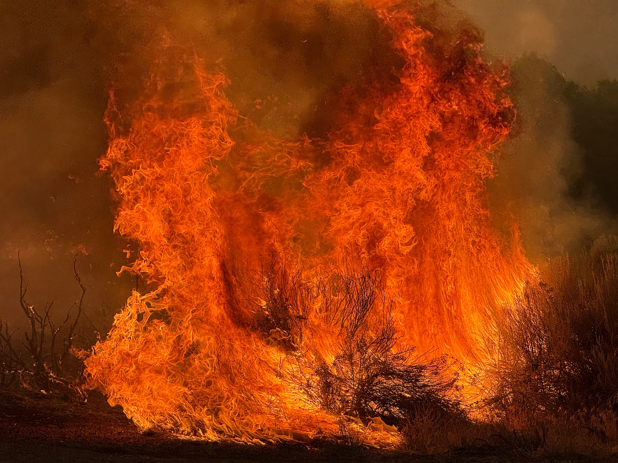 Rowe Complex wildfire operations scene 4