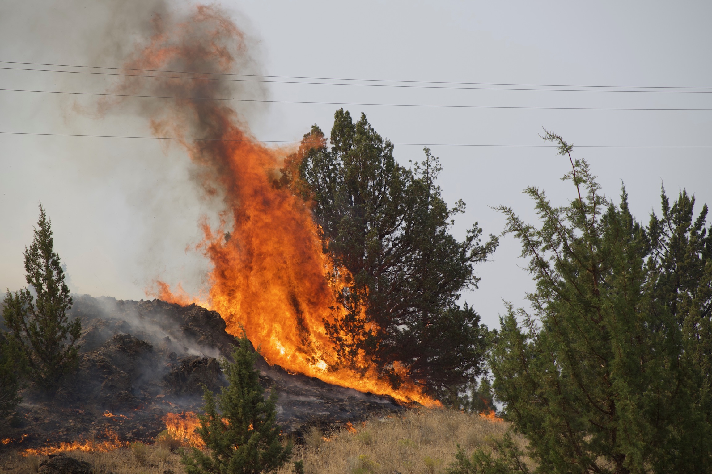 Rowe Complex wildfire response scene 4