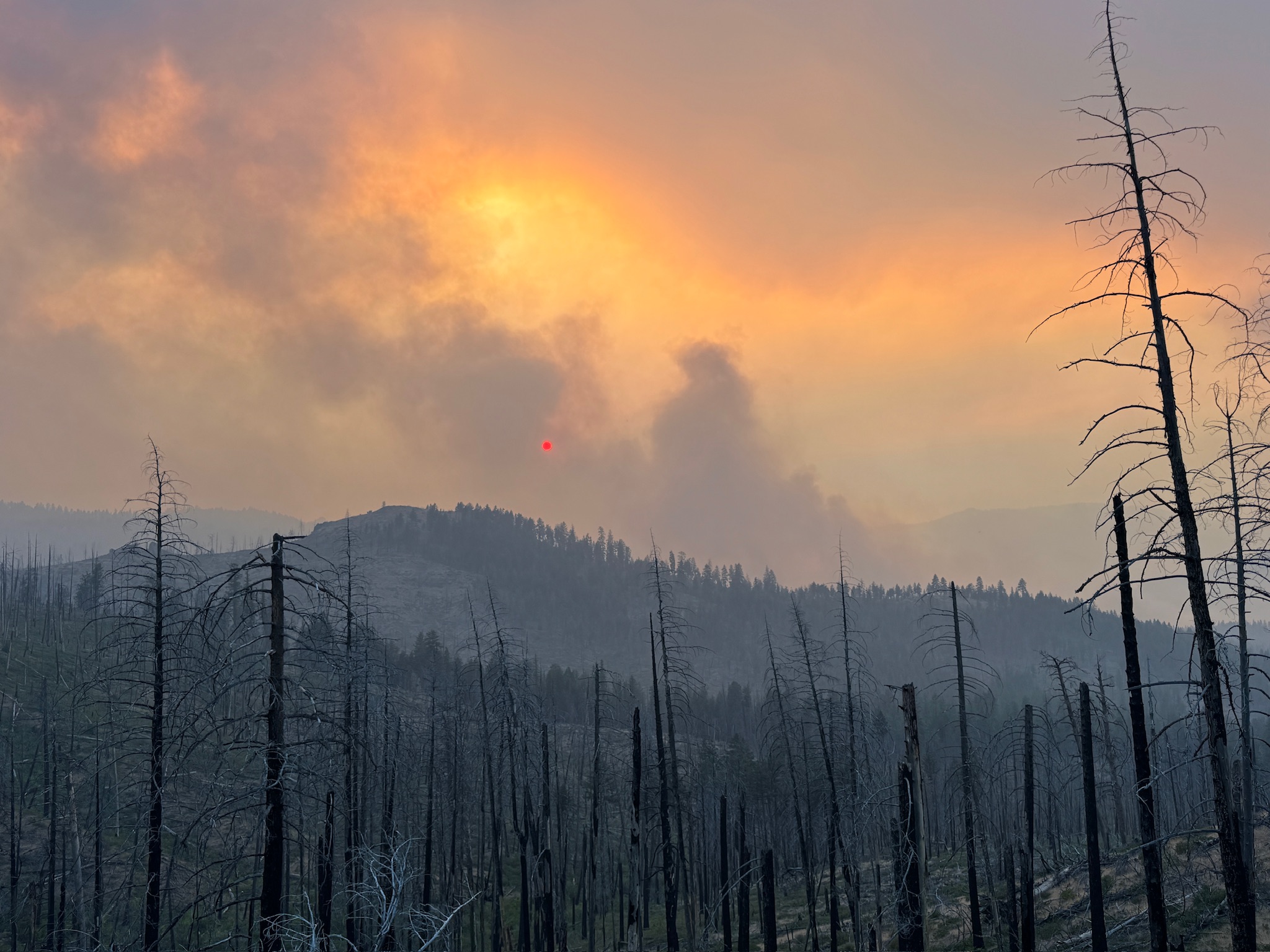 Rowe Creek wildfire operations scene 3