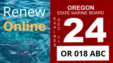 Renew online infographic with the 2024 registration decal