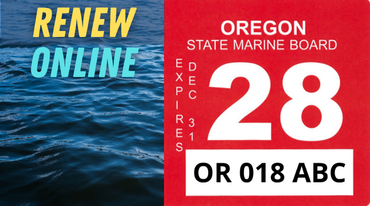 Renew online infographic with the 2028 registration decal