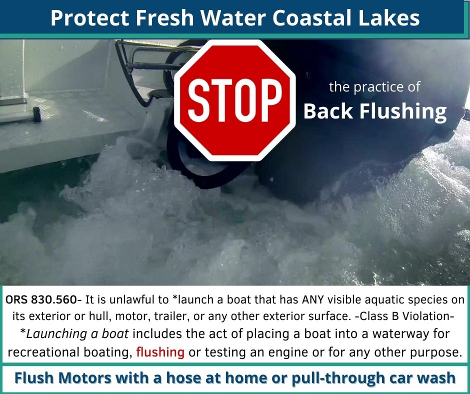 Image of a motorboat's whitewash and message to stop the practice of backflushing boat motors or jet drives