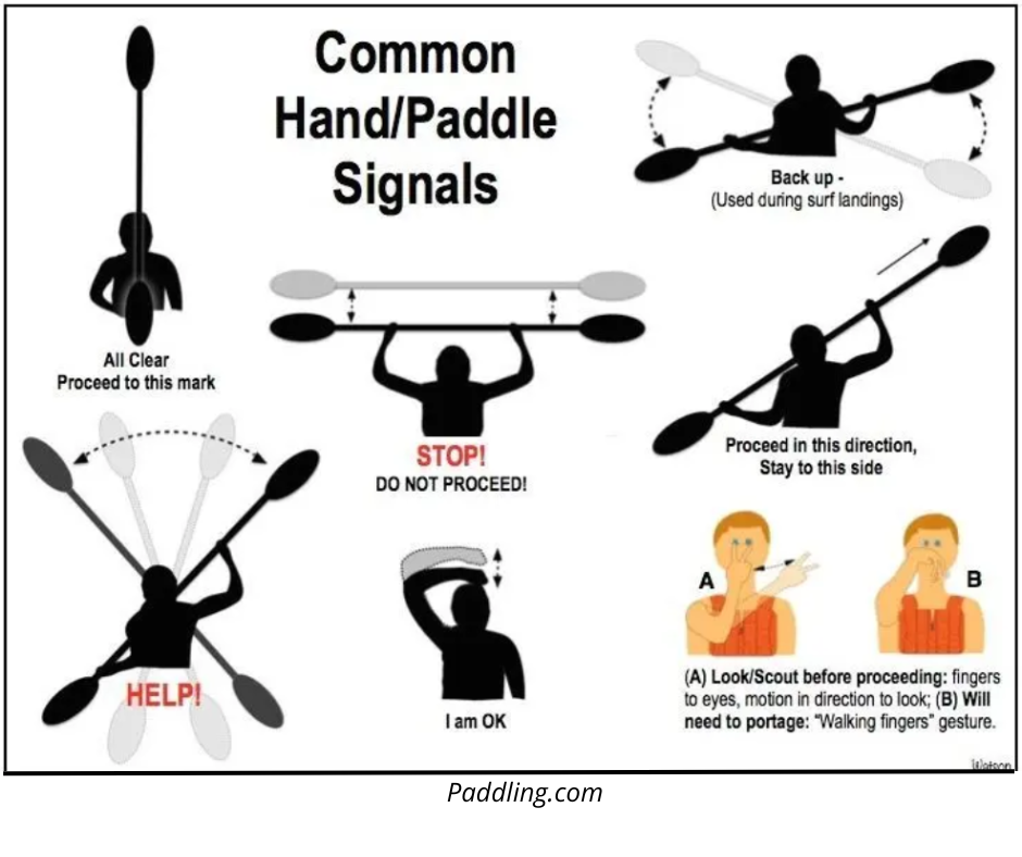 Common hand/paddle signals