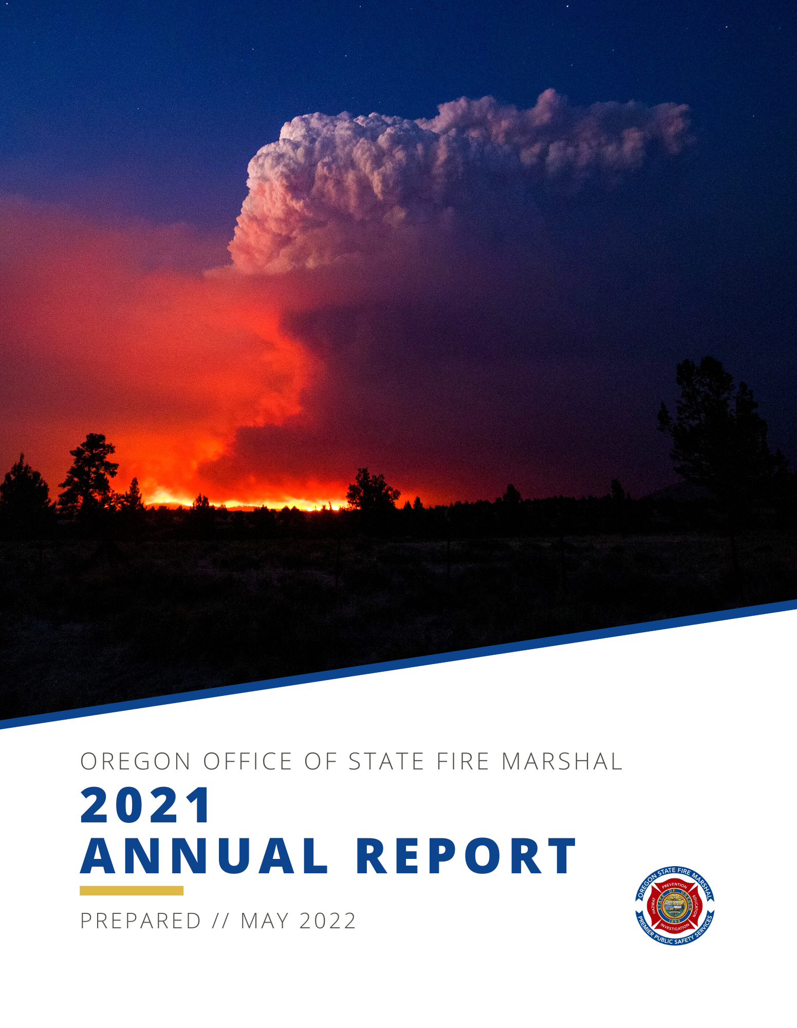 FINAL 2021 Annual Report.png