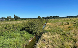 water flowing through a drainage ditch between fields
