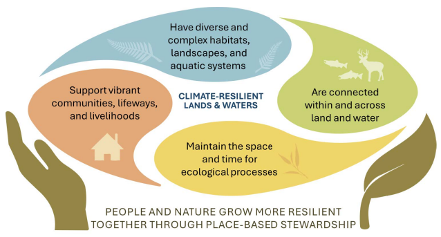 Diagram showing four resilience attributes working together to create climate-resilient lands and waters. 