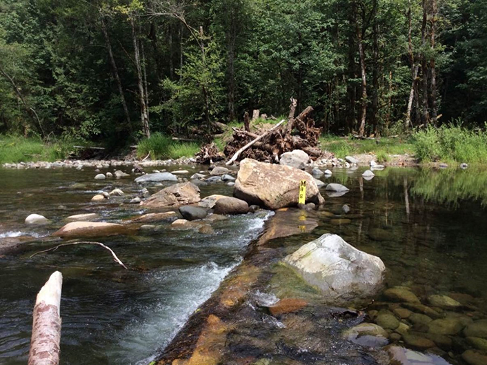 Sandy River constructed island, bar jam, and boulders
