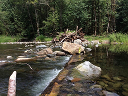 Sandy River Restoration Project, looking across side channel secondary inlet, constructed island bar jam and boulders.