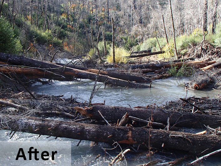 photo of Panther Creek after restoration