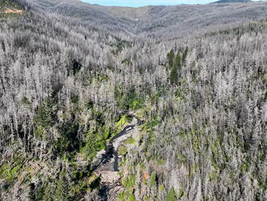 Aerial view of Panther Creek post-fire