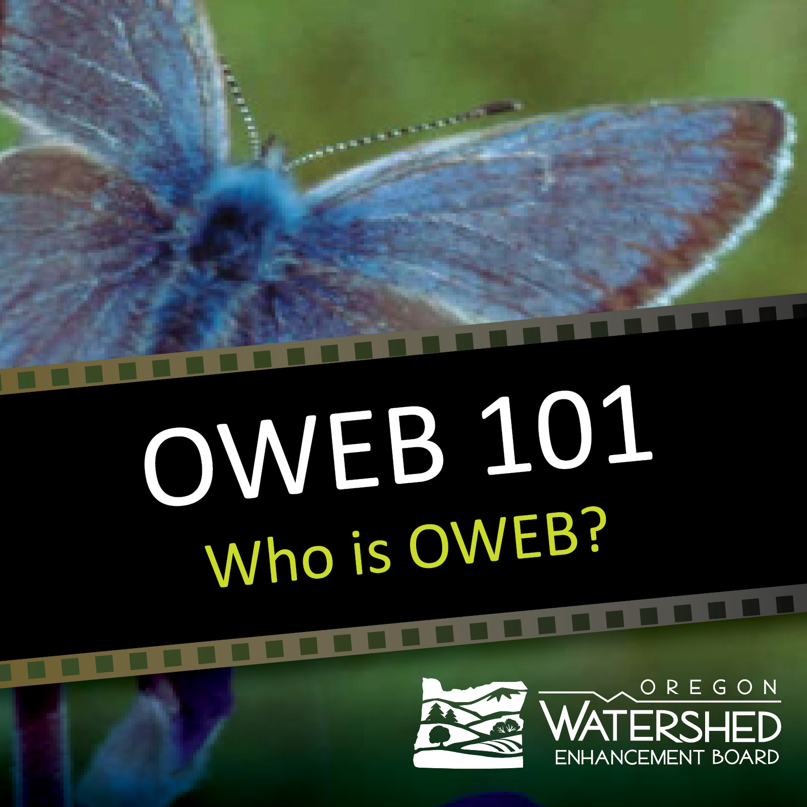 OWEB 101 video