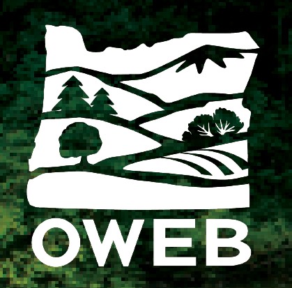 white monogram transparent OWEB logo