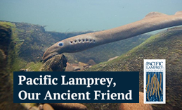 Partners in the Klamath Siskiyou Oak Network stand with award in the US Capitol