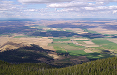 aerial of valley with patchwork farmland