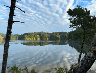 Looking out over Clear Lake. Credit: Trout Mountain Forestry