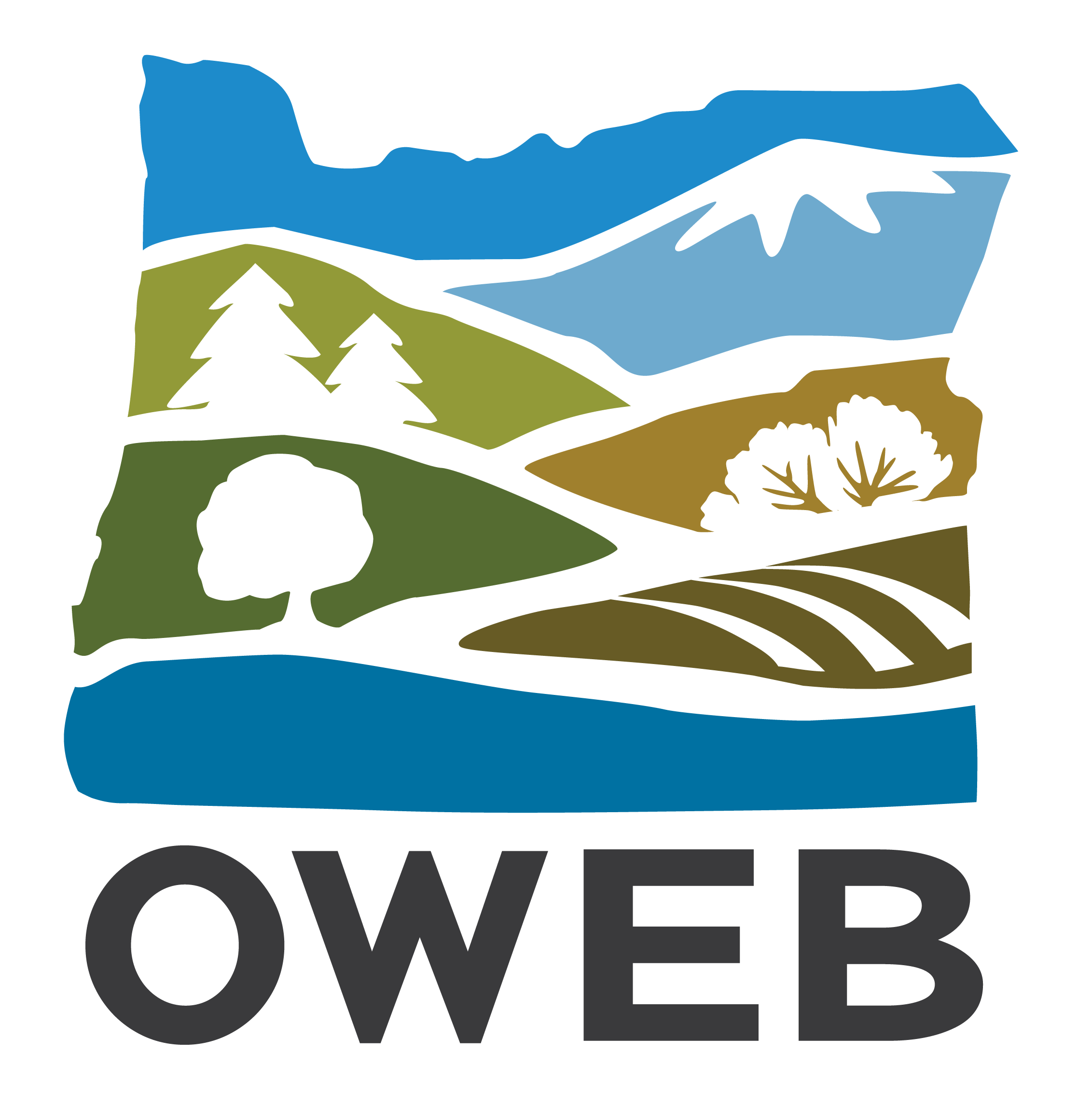 color OWEB monogram logo