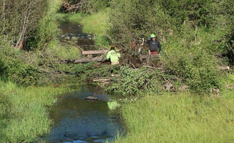 Sampling in Willow Creek