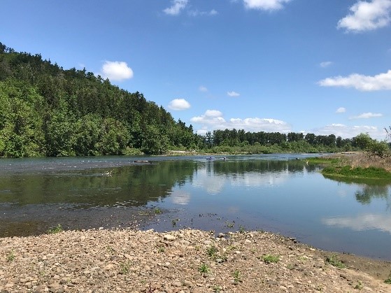 View upstream through diversion, after project