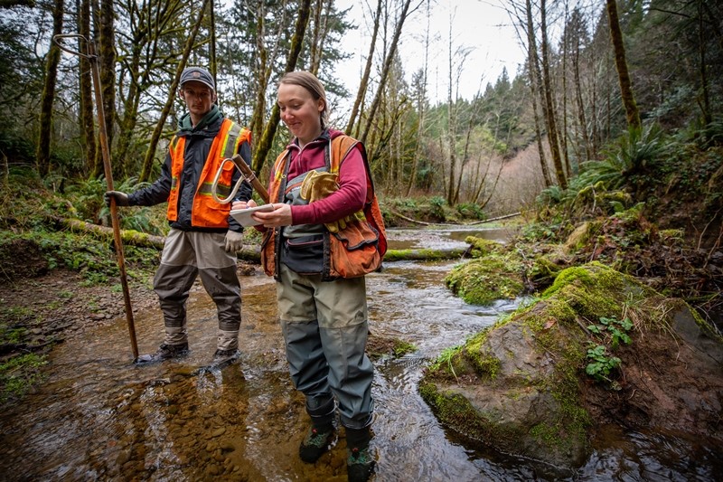 View upstream through diversion, after project