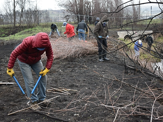 Warner Lakes Basin riparian planting