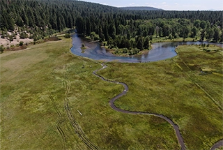 West Fork Smith River fish capture