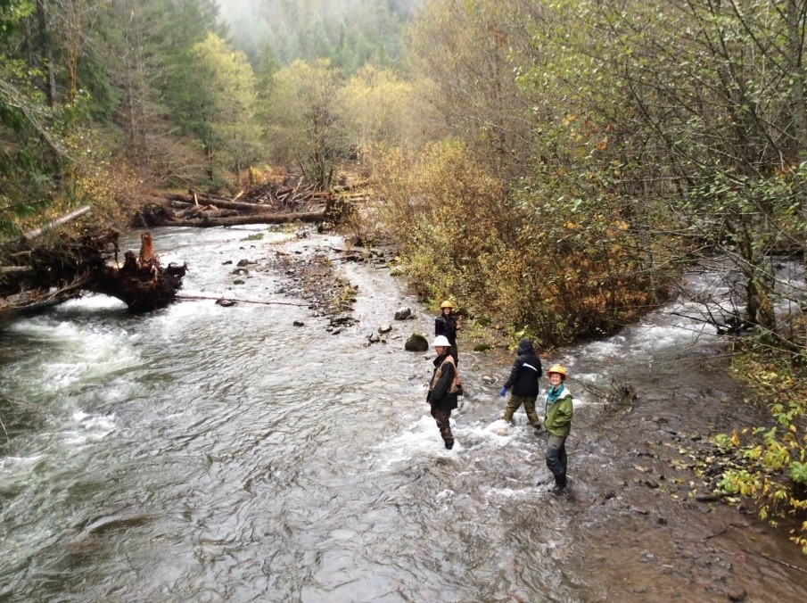 Looking over restoration of Deer Creek