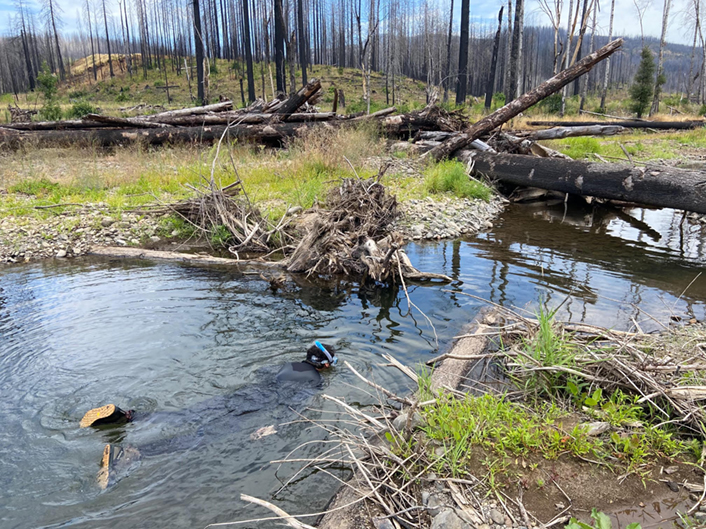 Sampling in Willow Creek