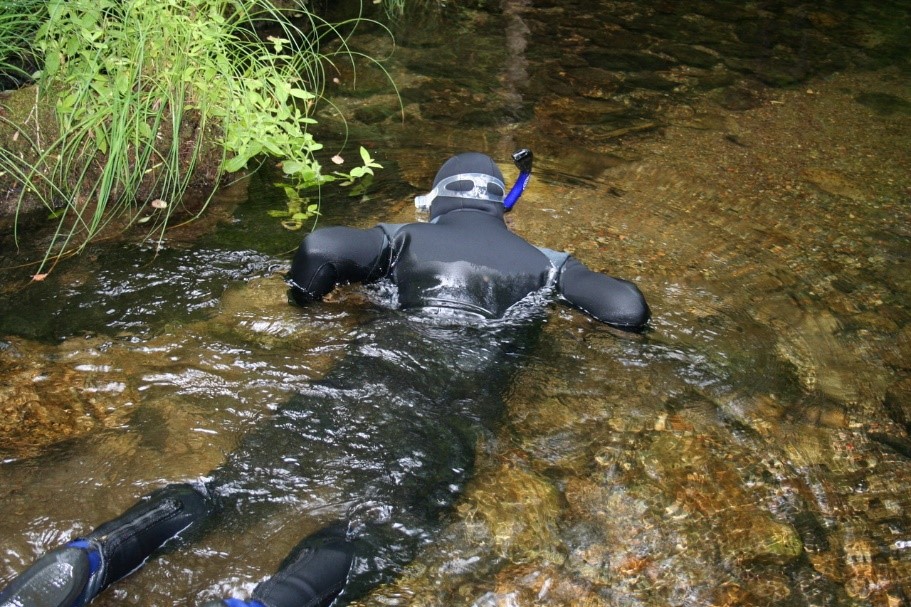 Snorkling to improve fish passage in the Rogue Basin