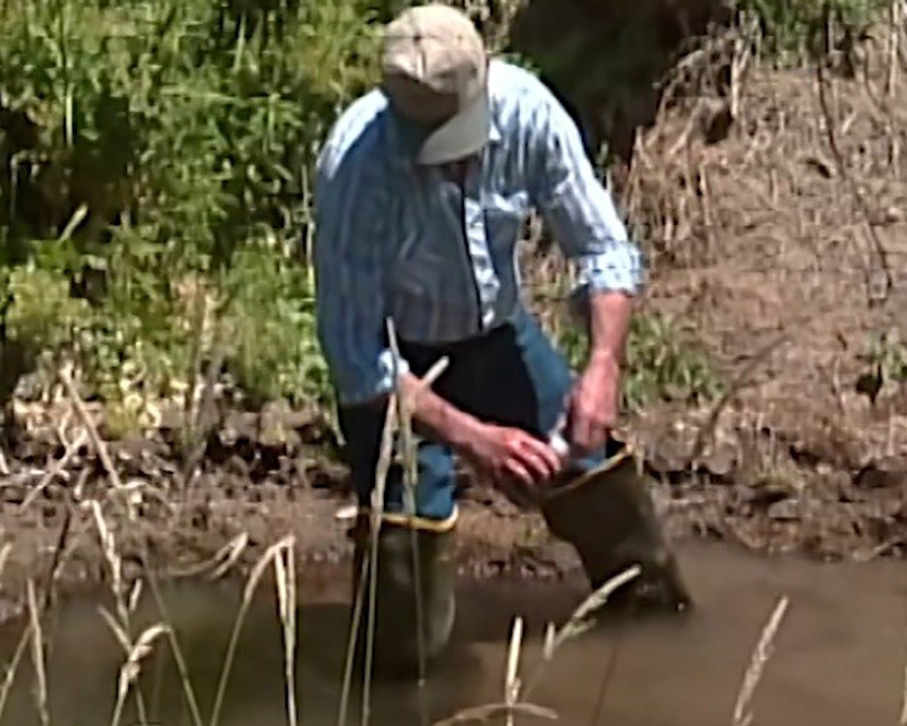 Sampling in Willow Creek