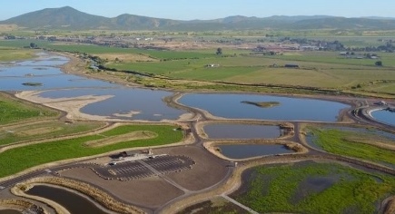 Aerial view of river and pond system