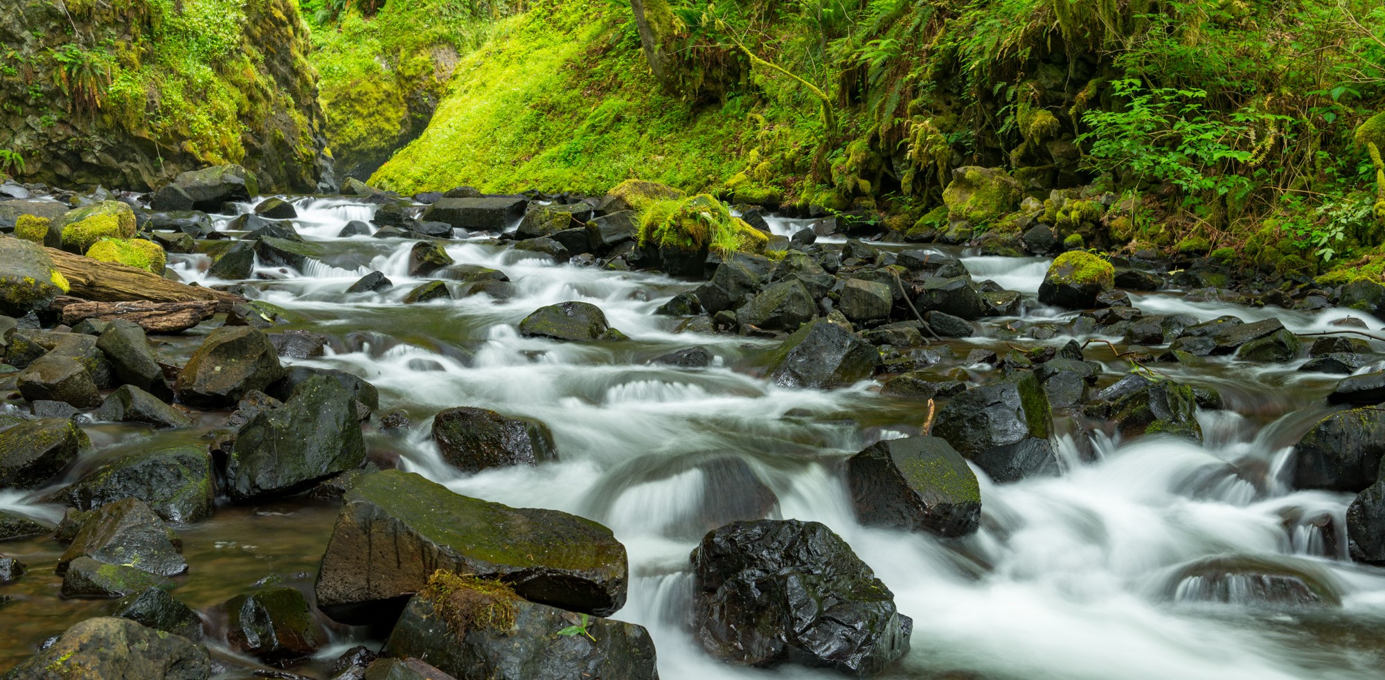 Bridal Veil Falls Gary Halvorson Cropped.jpg