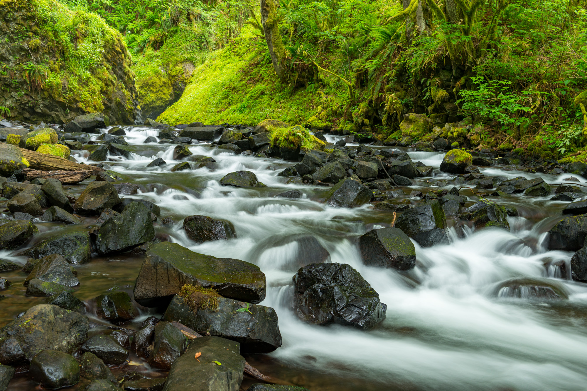 Image of Bridal Veil Falls by Gary Halvorson. Taken from Oregon State Scenic Archives.