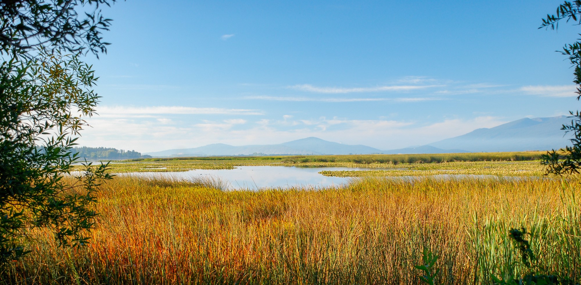 Agency Lake Gary Halvorson Cropped.jpg