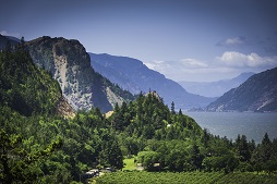Sunny view of the Columbia River Gorge