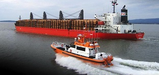 pilot boat traveling next to cargo ship