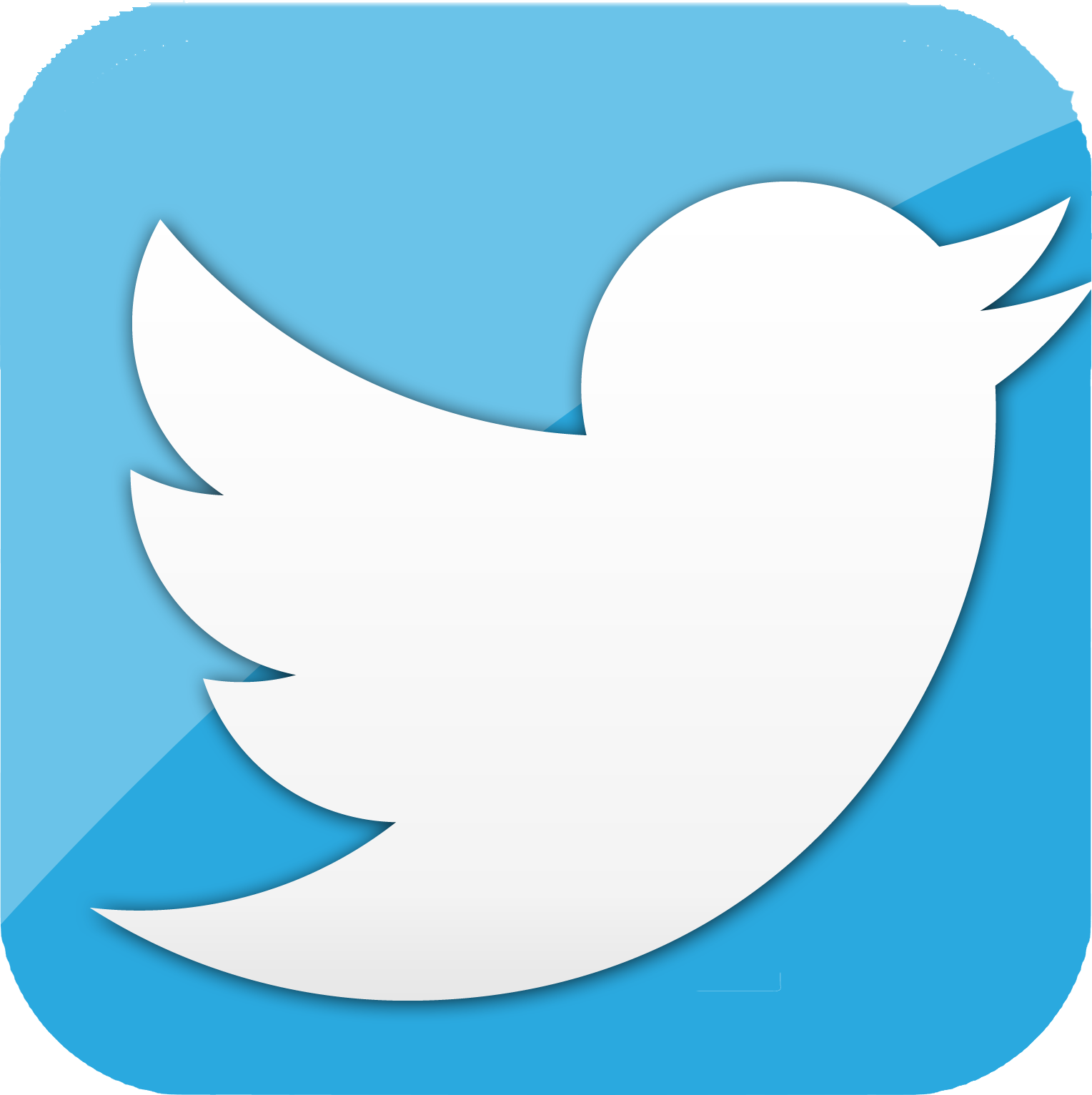 Twitter iceon