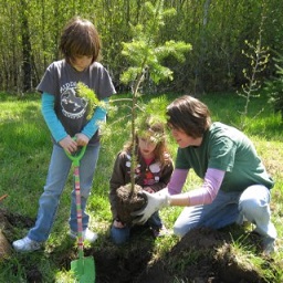 Photo of children planting a tree
